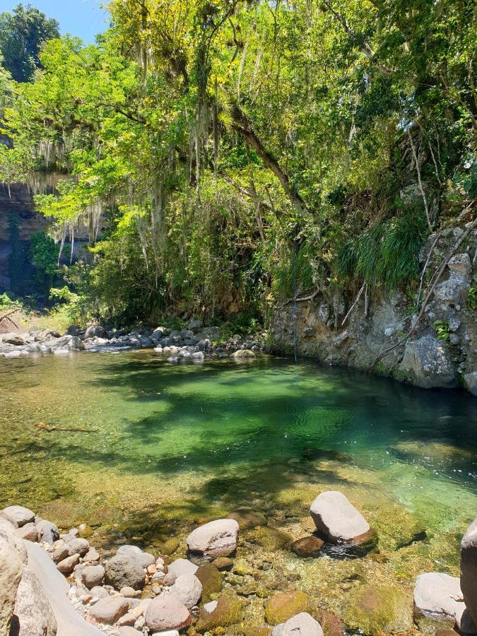 Gite 4 Etoiles, La Vieille Sucrerie St Claude Guadeloupe, Jacuzzi Spa Privatif, Vue Exceptionnelle Sur La Mer Des Caraibes Basse-Terre Eksteriør bilde